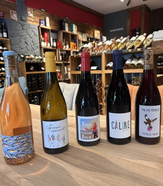 Chai Mistral Cave A Vin Saint Remy De Provence Nos Vignerons