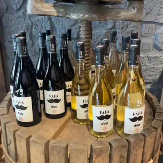 Bar à vin et dégustation à Maillane